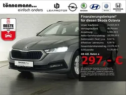 Grau Gebraucht 2023 Skoda Octavia Ambition Kombi | 22.824 € (Fairer Preis)