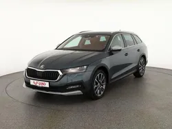Grau Gebraucht 2021 Skoda Octavia | 31.950 €