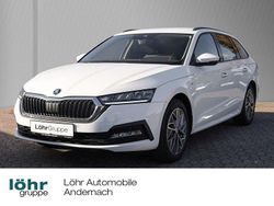 Weiß Gebraucht 2022 Skoda Octavia Tour Kombi | 19.980 € (Fairer Preis)