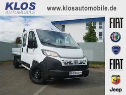 Weiss Neu 2025 Fiat Ducato Van | 37.990 € (Teuer)