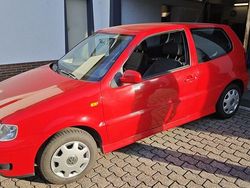 Rot Gebraucht 2001 VW Polo Trendline Limousine | 2.300 € (Teuer)