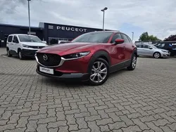 Rot Gebraucht 2021 Mazda CX-30 SUV | 23.990 € (Fairer Preis)