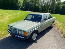 Grün Gebraucht 1979 Mercedes 300 Limousine | 22.900 €