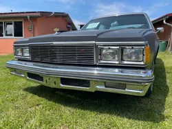 Grau Gebraucht 1979 Chevrolet Caprice Limousine | 19.000 €