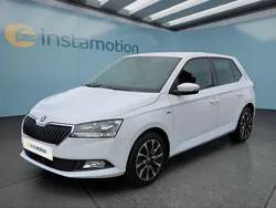 Gebraucht 2020 Skoda Fabia Kleinwagen | 13.999 € (Etwas zu teuer)