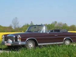 Braun Gebraucht 1970 Mercedes W111 SE Cabrio | 119.500 €