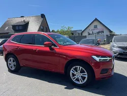 Fusion red Gebraucht 2019 Volvo XC60 Momentum SUV | 25.950 €