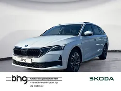 Weiß Gebraucht 2025 Skoda Octavia Tour Kombi | 38.980 € (Etwas zu teuer)