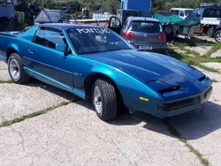 Blau Gebraucht 1993 Pontiac Firebird | 9.800 €