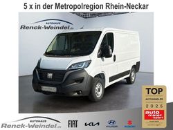 Weiss (pastell) Gebraucht 2024 Fiat Ducato Van | 29.989 € (Fairer Preis)