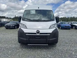 Cassablanca weiß Neu 2025 Opel Movano Van | 34.441 € (Fairer Preis)