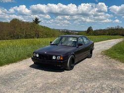 Violet Gebraucht 1992 BMW 530 Basis Limousine | 16.999 €