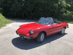 Rot Gebraucht 1976 Alfa Romeo Spider Cabrio | 27.333 €
