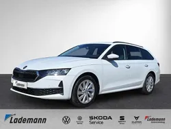 Othercolor Gebraucht 2024 Skoda Octavia Selection Kombi | 29.824 € (Guter Preis)