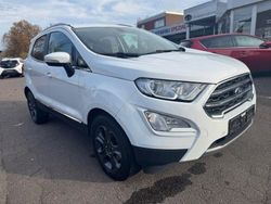 Frozen white Gebraucht 2019 Ford Ecosport Titanium SUV | 11.900 € (Superpreis)