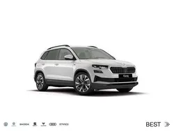 Weiß Neu 2025 Skoda Karoq Tour SUV | 40.990 € (Etwas zu teuer)