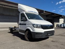 Weiß Gebraucht 2019 MAN TGE Van | 11.781 € (Teuer)