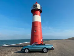 Grün Gebraucht 1983 Alfa Romeo Spider Cabrio | 14.999 €