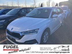 Candyweiss Gebraucht 2023 Skoda Octavia Style Kombi | 20.999 € (Guter Preis)