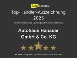 Grau Gebraucht 2014 Renault Grand Scénic III Initiale Paris Van / Kleinbus | 4.999 € (Guter Preis)