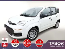 Weiß Neu 2025 Fiat Panda Kleinwagen | 13.748 € (Guter Preis)