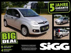 Alegro silber Gebraucht 2017 Fiat Panda Easy Kleinwagen | 7.980 € (Fairer Preis)
