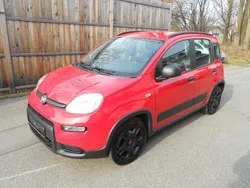 Rot Gebraucht 2022 Fiat Panda Kleinwagen | 7.999 €