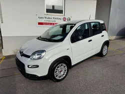 Weiß Gebraucht 2024 Fiat Panda Tech Kleinwagen | 13.490 € (Fairer Preis)