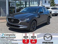 Grau Gebraucht 2025 Mazda CX-30 Homura-Line SUV | 28.890 €