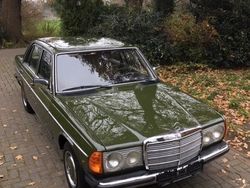 Grün Gebraucht 1980 Mercedes E250 Limousine | 14.800 €