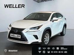Weiss Gebraucht 2021 Lexus NX300h SUV | 33.780 € (Fairer Preis)