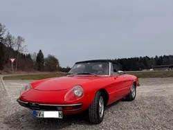 Rot Gebraucht 1981 Alfa Romeo Spider Cabrio | 18.000 €