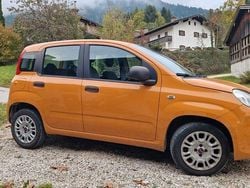 Orange Gebraucht 2019 Fiat Panda Easy Kleinwagen | 8.500 € (Fairer Preis)