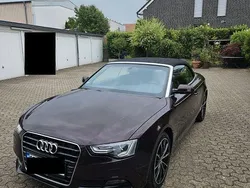 Violett Gebraucht 2013 Audi A5 Cabriolet Sport Cabrio | 12.499 € (Teuer)