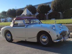 Rot Gebraucht 1959 Austin Healey Frogeye Cabrio | 21.800 €