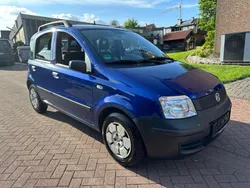 Blau Gebraucht 2009 Fiat Panda Kleinwagen | 2.600 € (Fairer Preis)