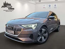 Taifungrau metallic Gebraucht 2019 Audi e-tron Advanced SUV | 32.900 € (Etwas zu teuer)