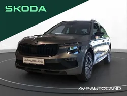 Graphite grau Neu 2025 Skoda Kamiq Tour SUV | 33.790 € (Teuer)