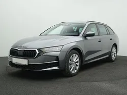 Grau Gebraucht 2024 Skoda Octavia Selection Kombi | 31.289 € (Etwas zu teuer)