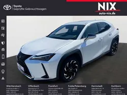 Weiß Gebraucht 2023 Lexus UX 250h SUV | 32.890 € (Etwas zu teuer)