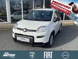 Gelato weiss Neu 2025 Fiat Panda Kleinwagen | 15.490 €