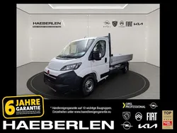 Cassablanca weiß Neu 2025 Opel Movano Van | 28.125 € (Superpreis)
