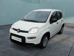 Weiß Gebraucht 2024 Fiat Panda Kleinwagen | 14.590 € (Etwas zu teuer)