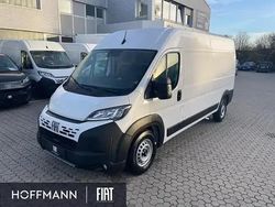 Weiss ducato weiss Neu 2025 Fiat Ducato Van | 38.963 € (Fairer Preis)