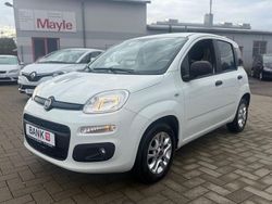 Weiß Gebraucht 2018 Fiat Panda More Limousine | 6.880 € (Fairer Preis)