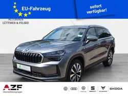 Grau Neu 2025 Skoda Kodiaq Selection SUV | 48.990 € (Guter Preis)