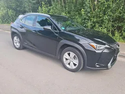 Schwarz Gebraucht 2019 Lexus UX 250h E-FOUR SUV | 24.600 € (Fairer Preis)
