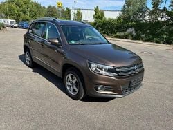 Braun Gebraucht 2014 VW Tiguan Cup SUV | 10.950 € (Guter Preis)