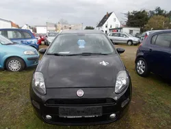 Schwarz Gebraucht 2013 Fiat Punto Easy Kleinwagen | 2.299 € (Superpreis)