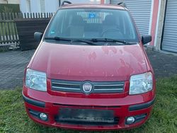 Rot Gebraucht 2008 Fiat Panda Kleinwagen | 999 € (Superpreis)